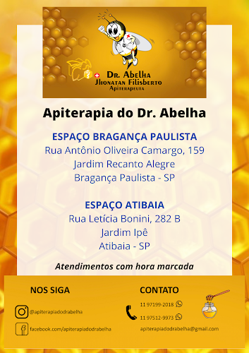 Apiterapia do Dr. Abelha - Bragança Paulista