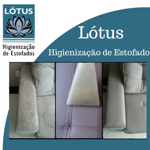 Limpeza e Higienização Lótus- Limpeza de sofá Bragança Paulista- Limpeza de sofá Atibaia